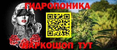 дурь Тара
